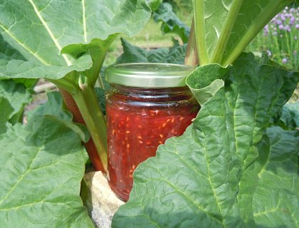 Rhubarb and Raspberry Jam