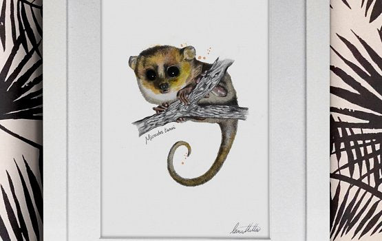 Limited Lemurs